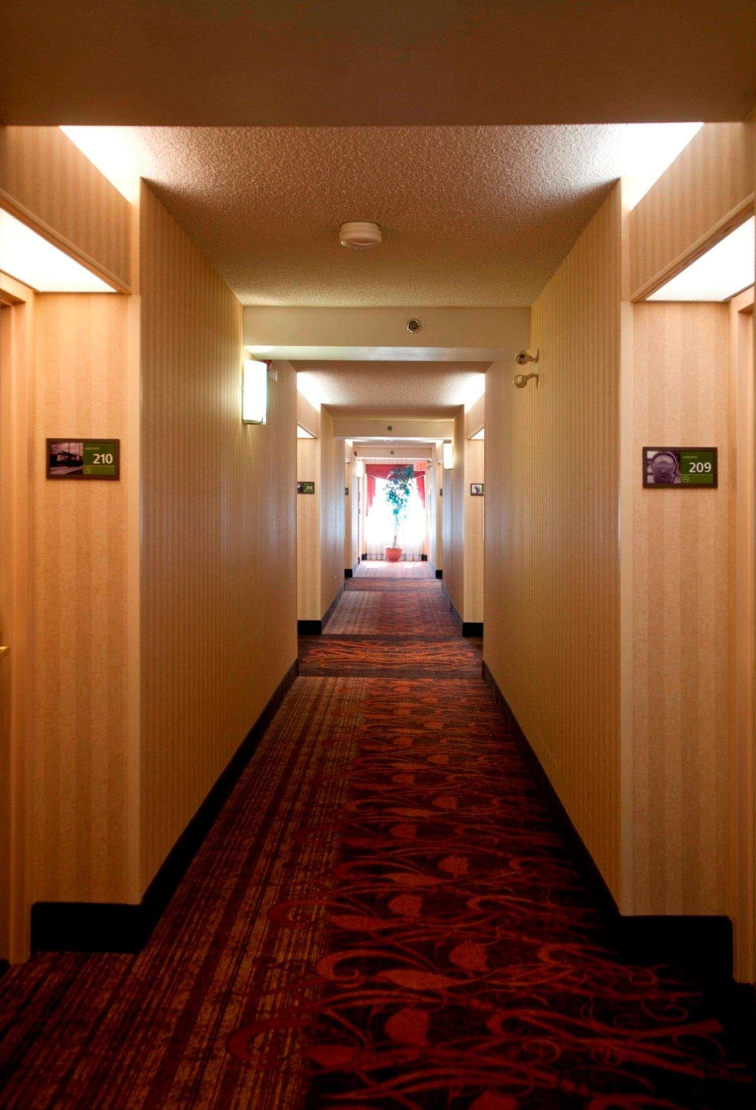 Hampton Inn Toronto-Mississauga West מראה פנימי תמונה